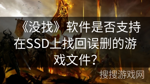 《没找》软件是否支持在SSD上找回误删的游戏文件？