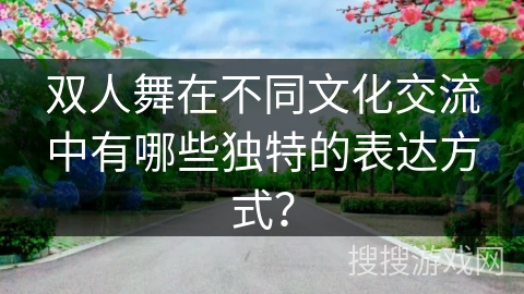 双人舞在不同文化交流中有哪些独特的表达方式？