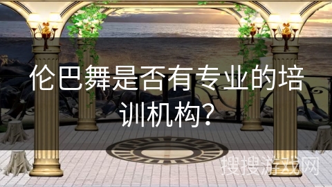 伦巴舞是否有专业的培训机构？