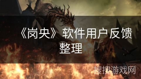 《岗央》软件用户反馈整理