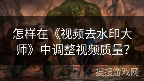 怎样在《视频去水印大师》中调整视频质量？