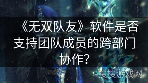 《无双队友》软件是否支持团队成员的跨部门协作？