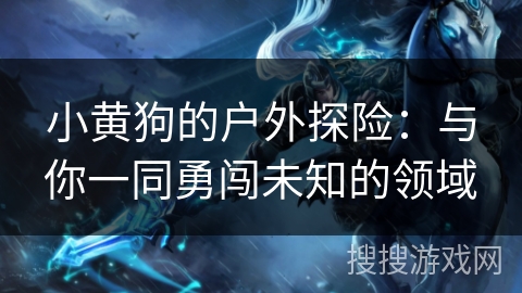 小黄狗的户外探险:与你一同勇闯未知的领域 小黄狗的户外探险:与你一同勇闯未知的领域