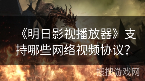 《明日影视播放器》支持哪些网络视频协议？