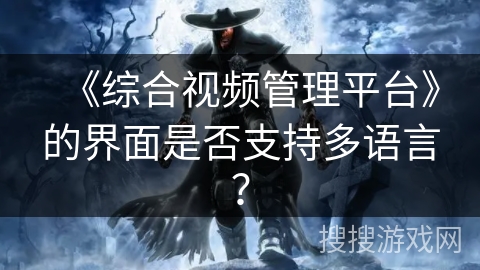 《综合视频管理平台》的界面是否支持多语言？