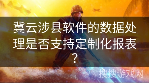 冀云涉县软件的数据处理是否支持定制化报表？