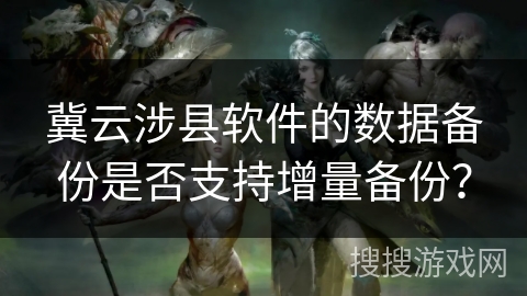 冀云涉县软件的数据备份是否支持增量备份？