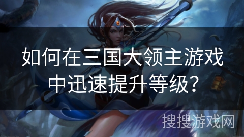 如何在三国大领主游戏中迅速提升等级？