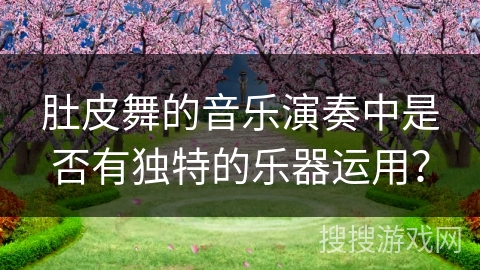 肚皮舞的音乐演奏中是否有独特的乐器运用？