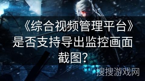 《综合视频管理平台》是否支持导出监控画面截图？