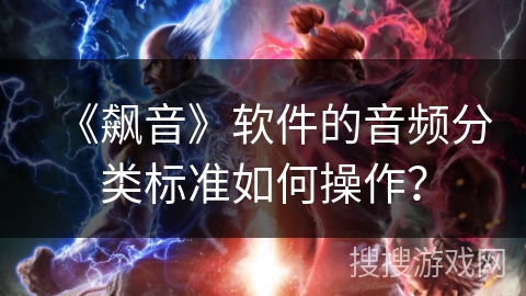 《飙音》软件的音频分类标准如何操作？