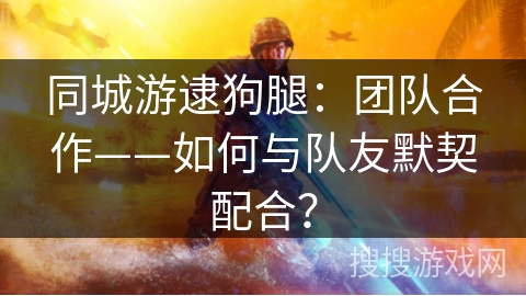 同城游逮狗腿：团队合作——如何与队友默契配合？