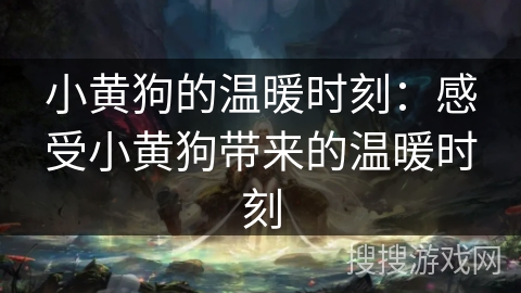 小黄狗的温暖时刻：感受小黄狗带来的温暖时刻