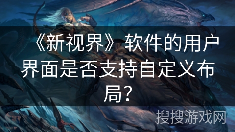 《新视界》软件的用户界面是否支持自定义布局？