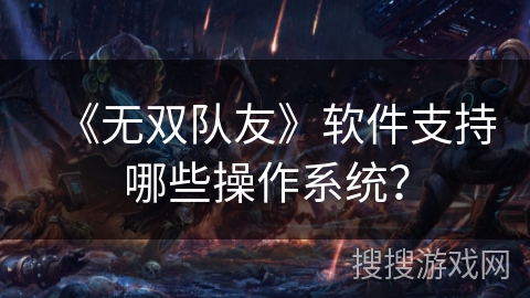 《无双队友》软件支持哪些操作系统？