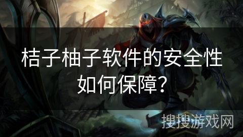 桔子柚子软件的安全性如何保障？