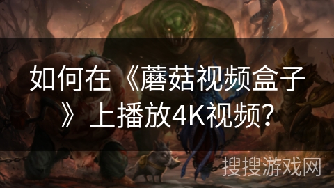 如何在《蘑菇视频盒子》上播放4K视频？