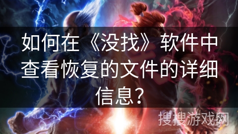 如何在《没找》软件中查看恢复的文件的详细信息？