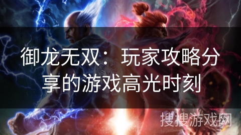 御龙无双：玩家攻略分享的游戏高光时刻