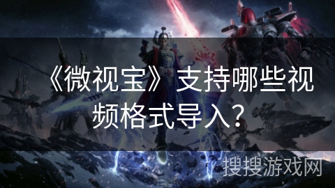 《微视宝》支持哪些视频格式导入？