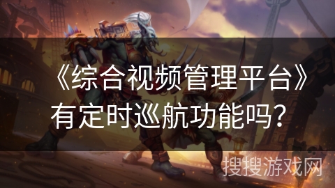 《综合视频管理平台》有定时巡航功能吗？