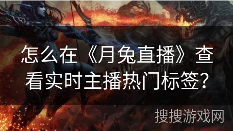 怎么在《月兔直播》查看实时主播热门标签？