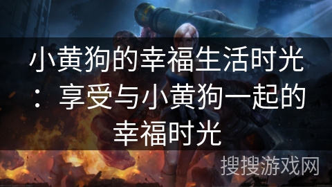 小黄狗的幸福生活时光：享受与小黄狗一起的幸福时光