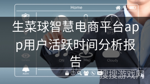 生菜球智慧电商平台app用户活跃时间分析报告