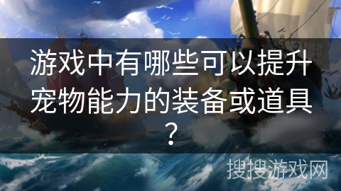 游戏中有哪些可以提升宠物能力的装备或道具？