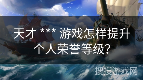 天才 *** 游戏怎样提升个人荣誉等级？