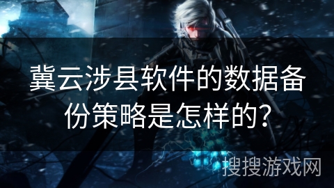 冀云涉县软件的数据备份策略是怎样的？