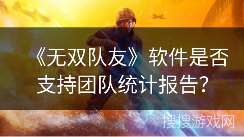 《无双队友》软件是否支持团队统计报告？