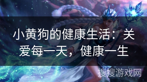 小黄狗的健康生活：关爱每一天，健康一生