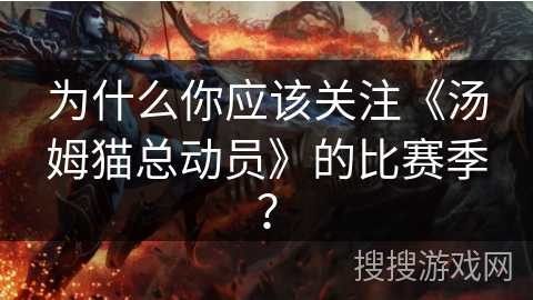 为什么你应该关注《汤姆猫总动员》的比赛季？