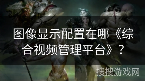 图像显示配置在哪《综合视频管理平台》？