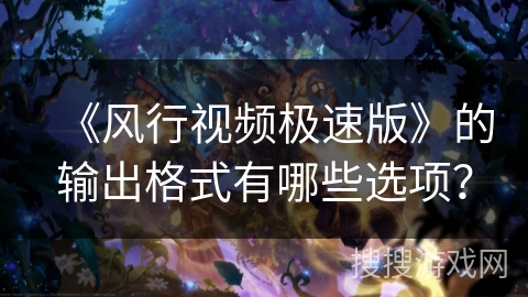 《风行视频极速版》的输出格式有哪些选项？