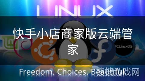 快手小店商家版云端管家 快手小店商家版云端管家