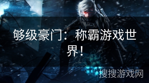 够级豪门:称霸游戏世界! 够级豪门:称霸游戏世界!