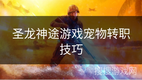 圣龙神途游戏宠物转职技巧 圣龙神途游戏宠物转职技巧