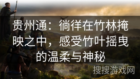 贵州通：徜徉在竹林掩映之中，感受竹叶摇曳的温柔与神秘