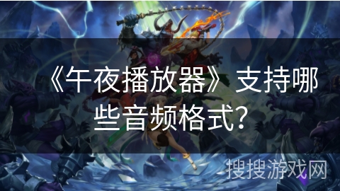 《午夜播放器》支持哪些音频格式？