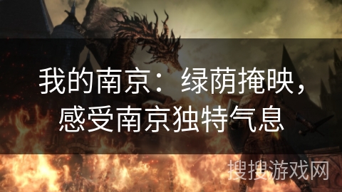 我的南京：绿荫掩映，感受南京独特气息