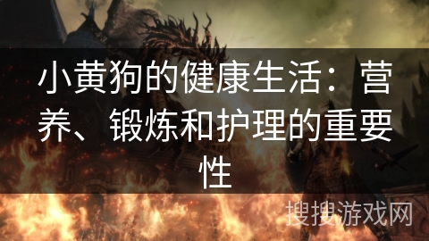 小黄狗的健康生活：营养、锻炼和护理的重要性
