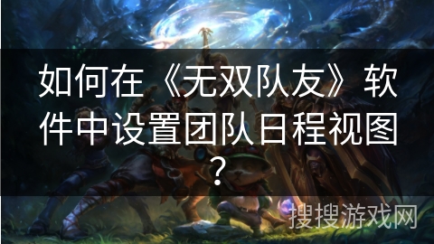 如何在《无双队友》软件中设置团队日程视图？