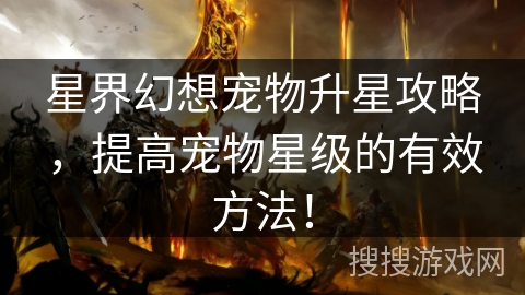 星界幻想宠物升星攻略，提高宠物星级的有效方法！
