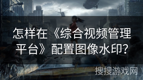 怎样在《综合视频管理平台》配置图像水印？