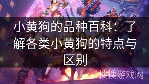 小黄狗的品种百科：了解各类小黄狗的特点与区别