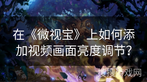 在《微视宝》上如何添加视频画面亮度调节？