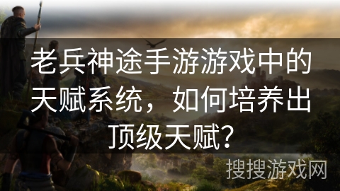 老兵神途手游游戏中的天赋系统,如何培养出顶级天赋? 老兵神途手游游戏中的天赋系统,如何培养出顶级天赋?