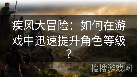 疾风大冒险：如何在游戏中迅速提升角色等级？
